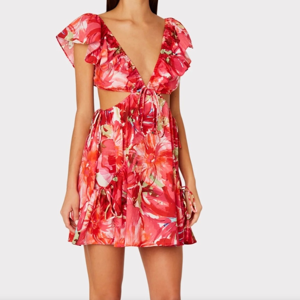 Milly dress new with tags